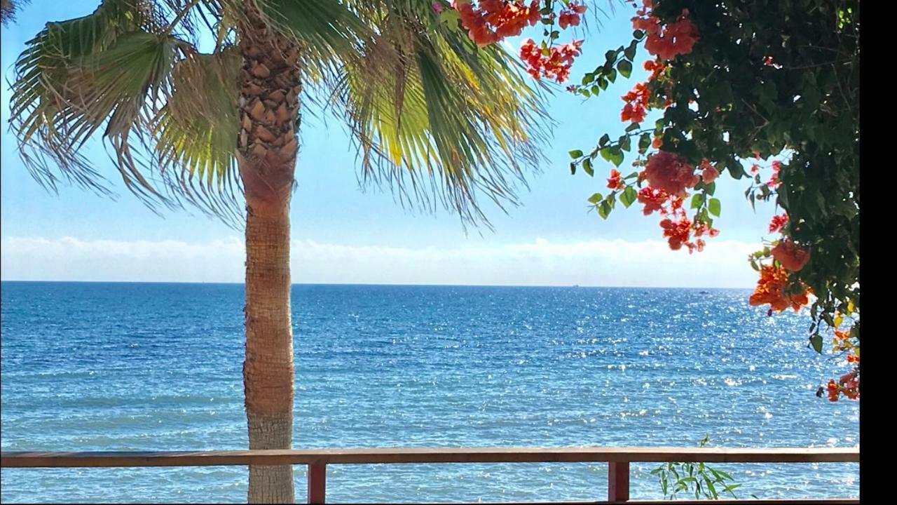 Mi Capricho 9A Beachfront- Apartment With Sea View - Costa Del Sol Sitio de Calahonda エクステリア 写真